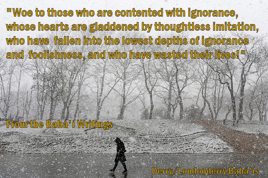 Woe to those who are contented with ignorance...